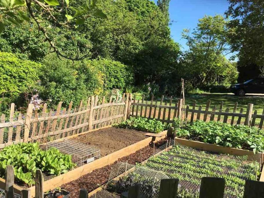 Masons Cottage, An Idyllic Retreat In An Area Of Outstanding Beauty, Close To Blenheim Palace, Oxford & The Cotswolds Stonesfield Экстерьер фото